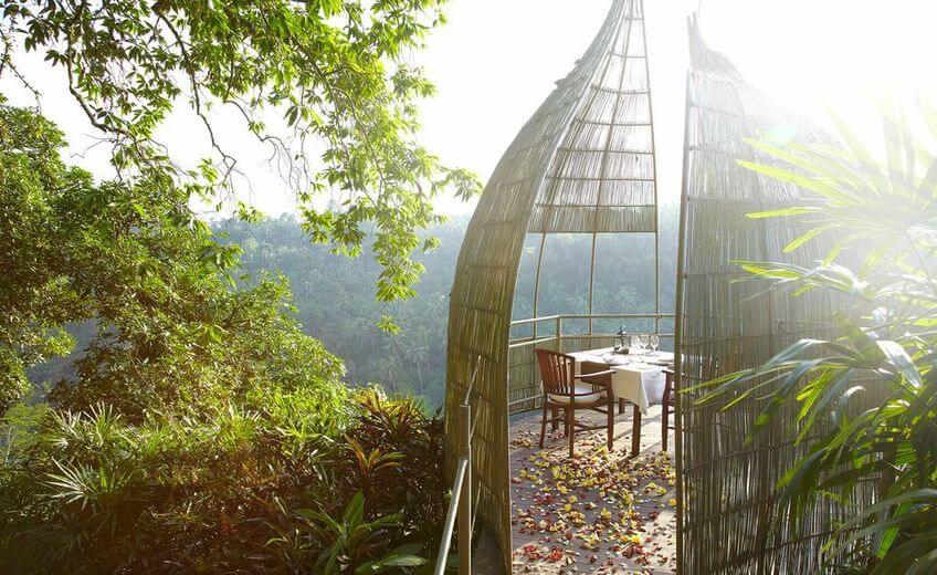 The Bali Bible Bird Nest Romantic Dinner in Ubud