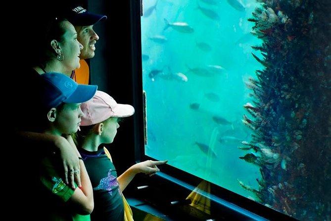 Ansett. | Activity | Busselton Jetty Train Ride and…