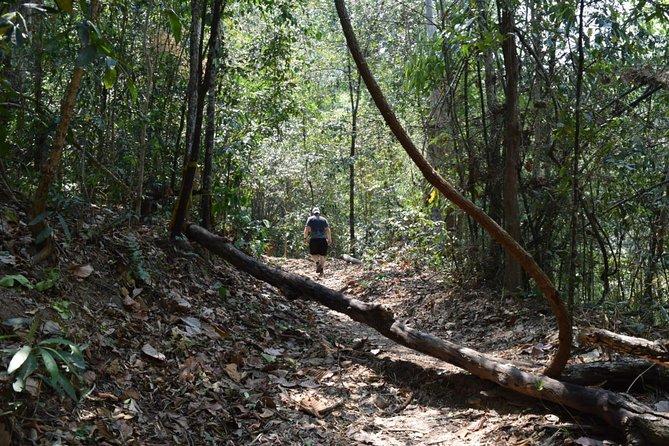 doi suthep trekking