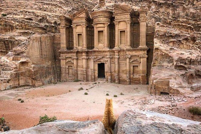 amman petra tour