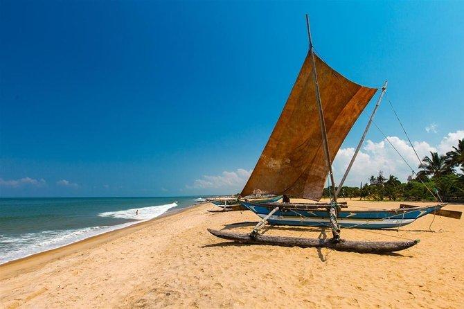 Discover Beyond Activity Negombo One Day Trip From Discover Beyond Activity Negombo One Day Trip From