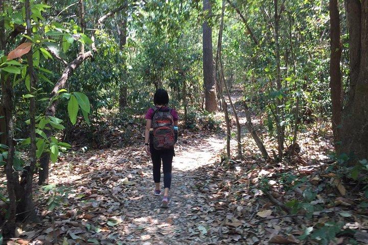doi suthep trekking