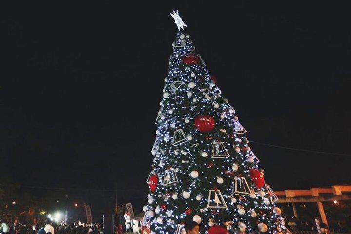 Christmas Festival Guadalajara 2022 Nick Travel | Activity | Magic Christmas Tour In…
