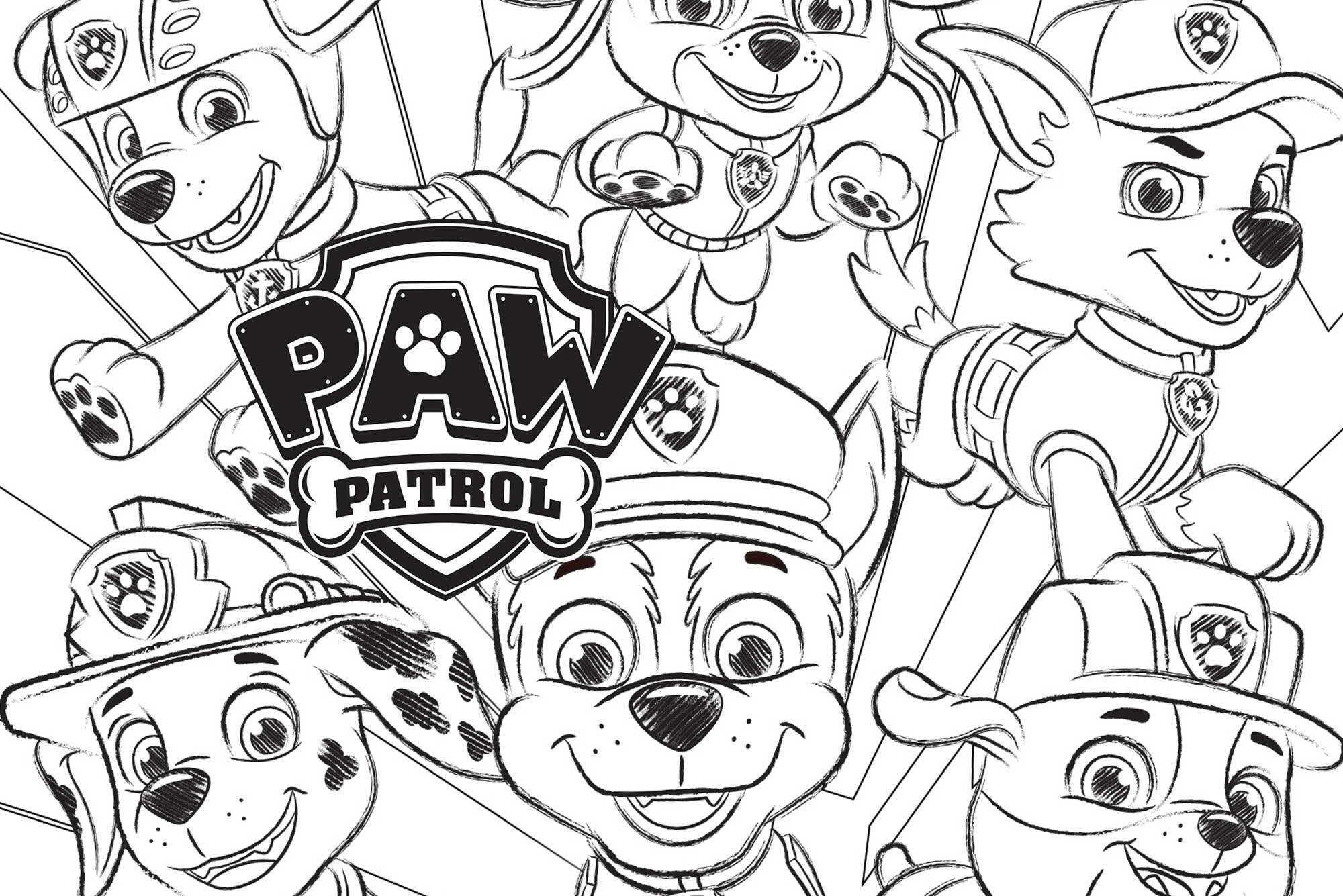 PAW Patrol activity