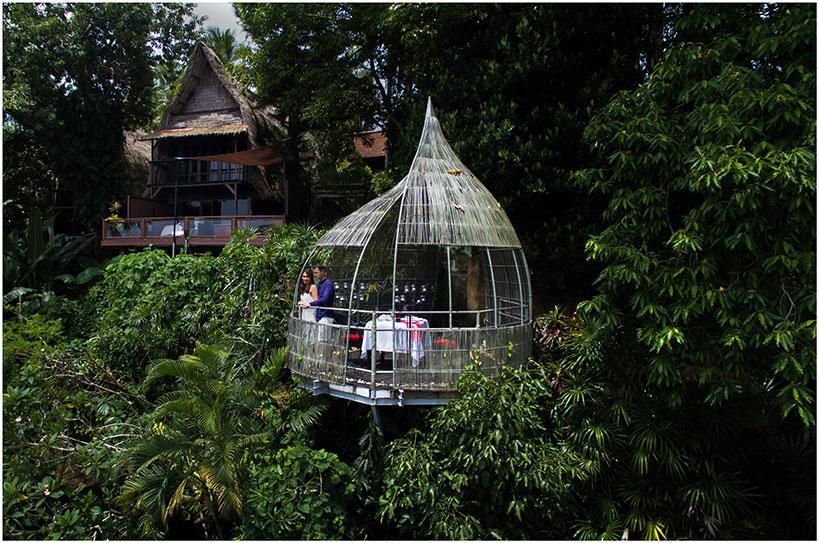 The Bali Bible Bird Nest Romantic Dinner in Ubud